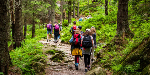 Young hikers in forest heading towards High Tatras peak